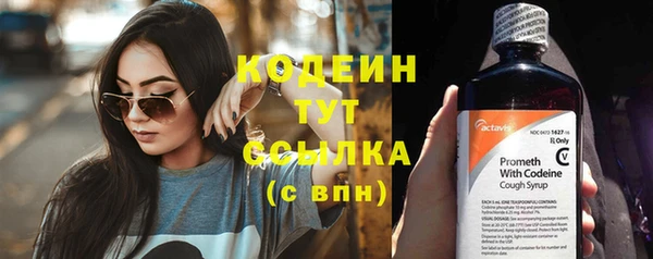 Альфа ПВП Бородино