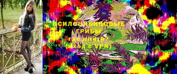 винт Верея