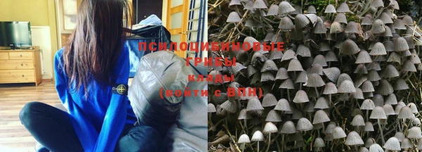 винт Верея