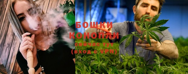 молекула духа Верхний Тагил